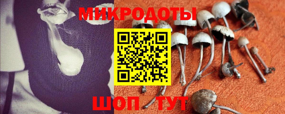 Псилоцибиновые грибы ЛСД  Вход с VPN  Галлюциногенные грибы Psilocybine cubensis  Бахчисарай 